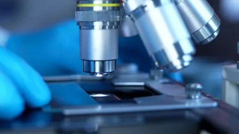 法网群英国语版下载 - 气候科学家专访